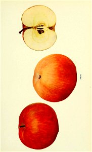 n68_w1150