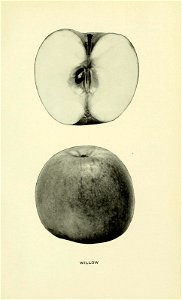 n638_w1150
