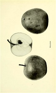 n148_w1150