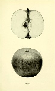 n572_w1150