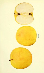n268_w1150