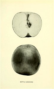 n140_w1150