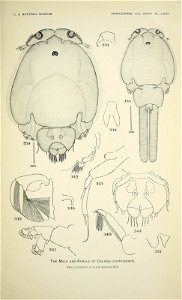 n514_w1150