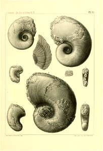 n140_w1150