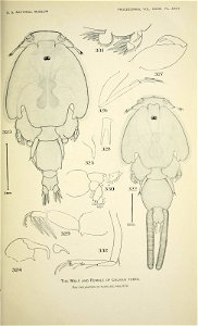 n512_w1150