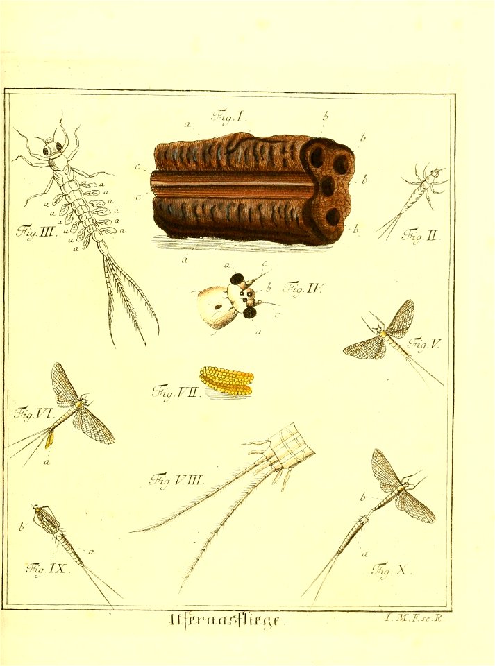 n562_w1150