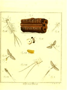 n562_w1150