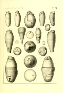 n376_w1150