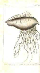 n308_w1150