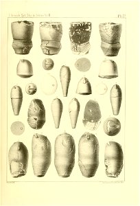 n316_w1150