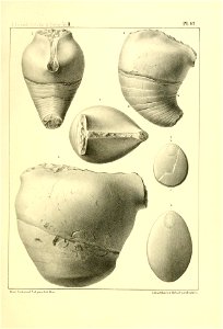 n256_w1150