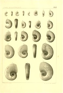 n136_w1150
