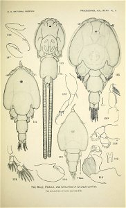n452_w1150