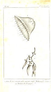 n286_w1150