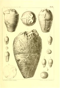 n372_w1150