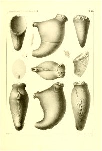 n192_w1150