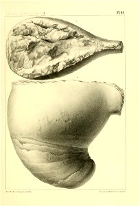 n252_w1150