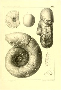 n132_w1150