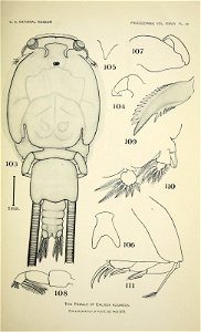 n448_w1150