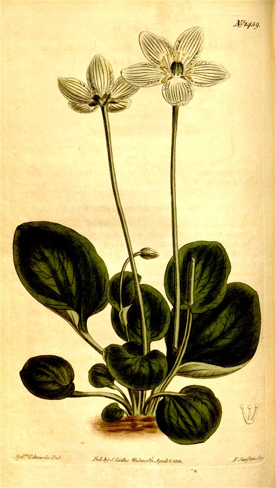 n118_w1150