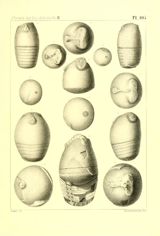 n428_w1150