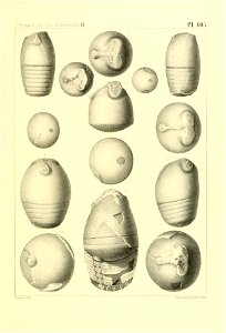 n428_w1150