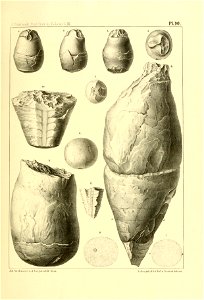 n368_w1150