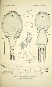 n442_w1150