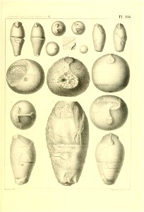 n424_w1150