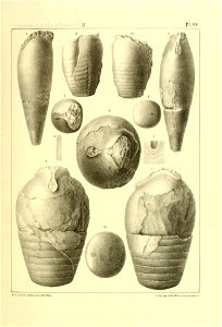 n364_w1150
