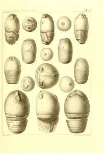n304_w1150