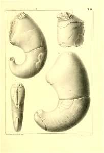 n244_w1150