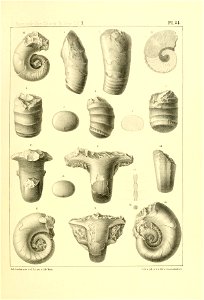 n184_w1150
