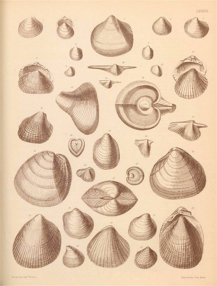 n402_w1150