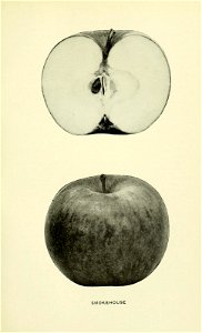 n530_w1150