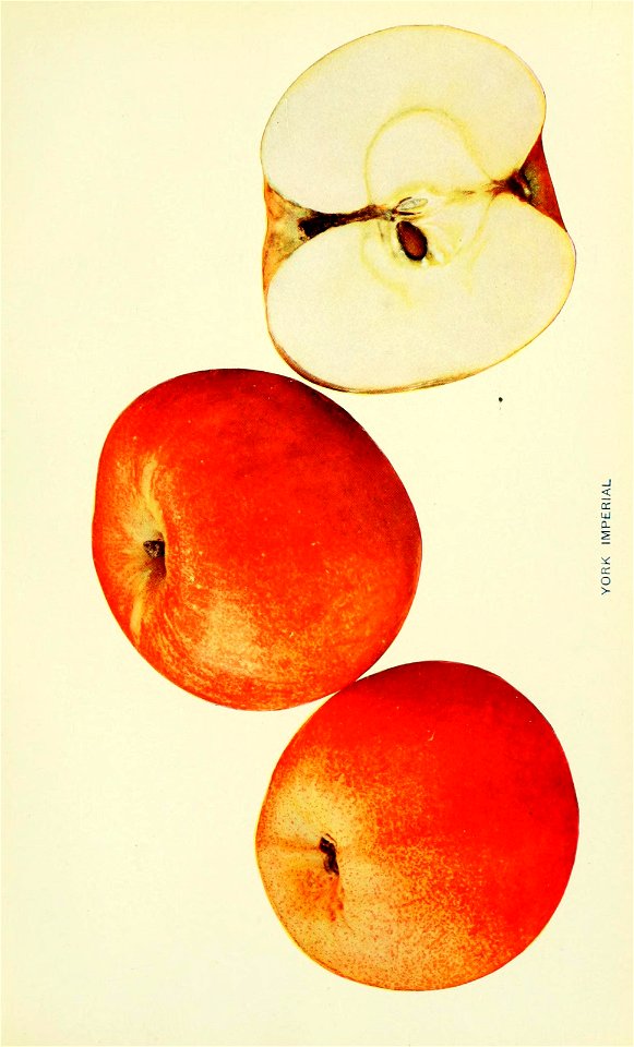 n664_w1150