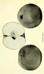 n238_w1150