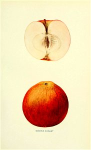 n168_w1150