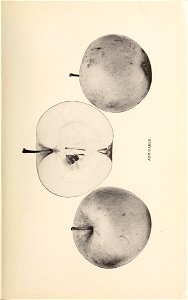 n12_w1150