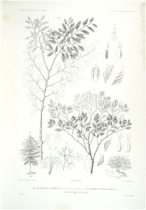 n45_w1150