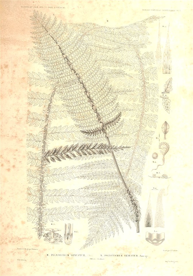 n30_w1150