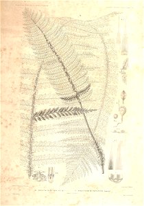 n30_w1150