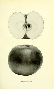 n226_w1150