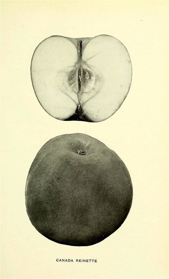 n156_w1150