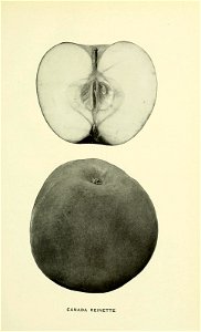 n156_w1150
