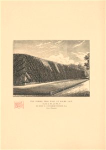 n155_w1150