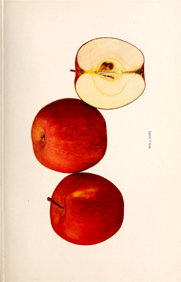 n398_w1150