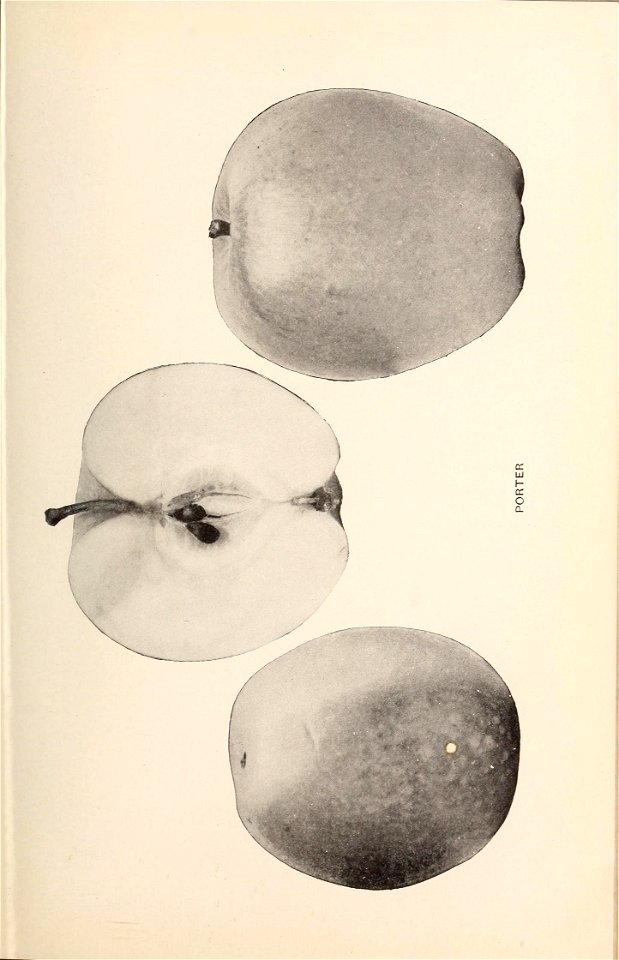 n288_w1150
