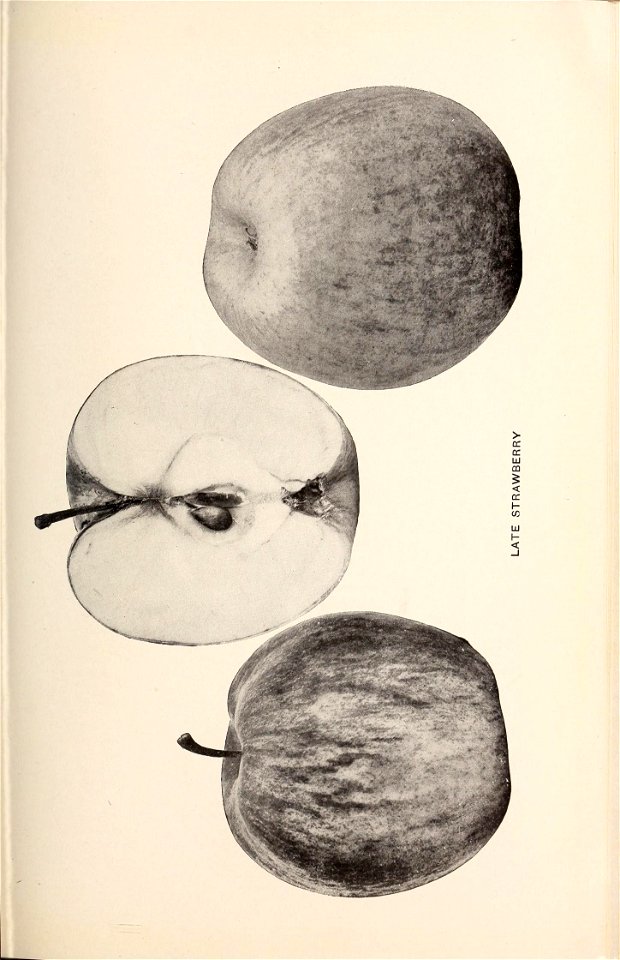 n208_w1150