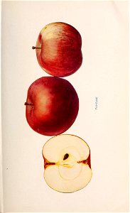 n124_w1150